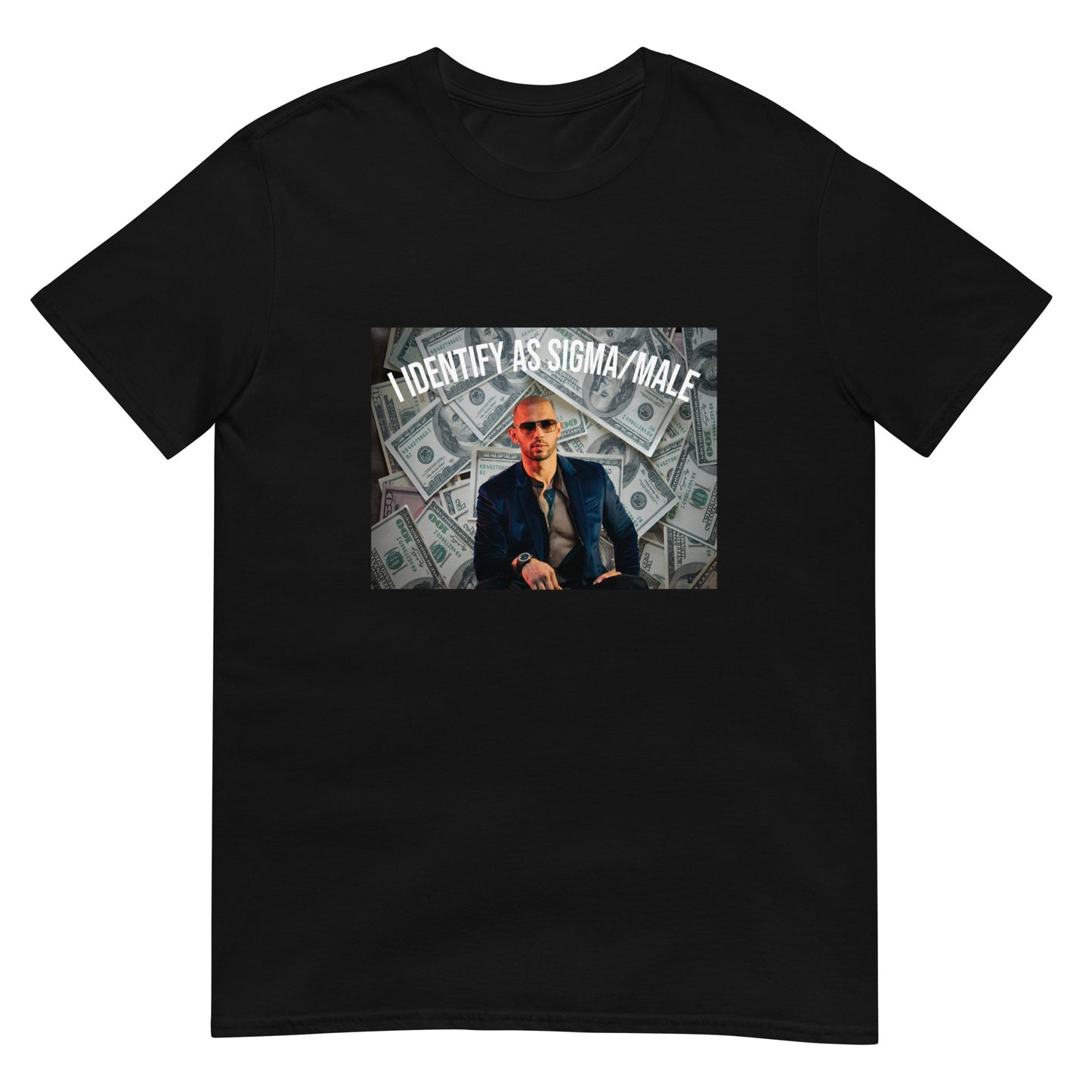 I Identify As Sigma Male T-Shirt